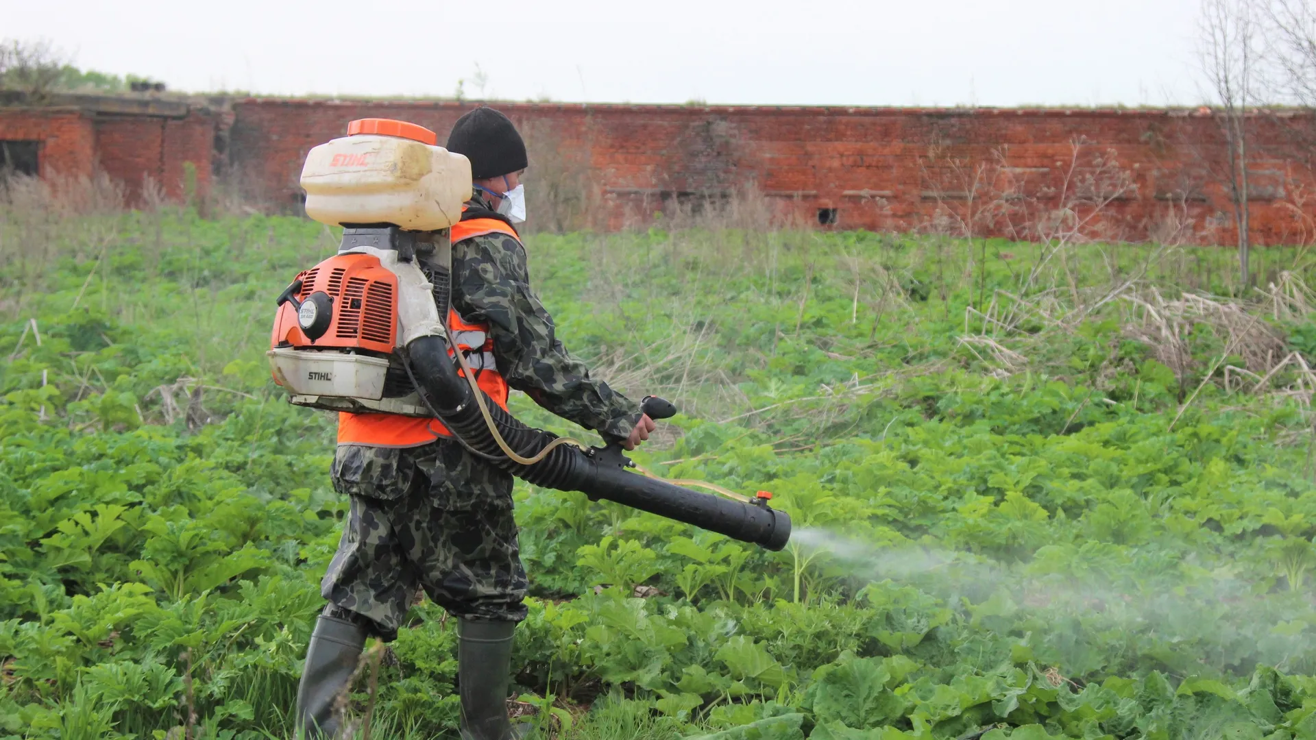 Фото: Нина Соколова