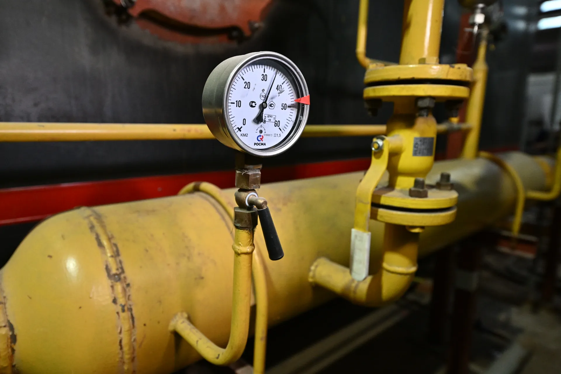 Фото: Пресс-служба Московской областной думы