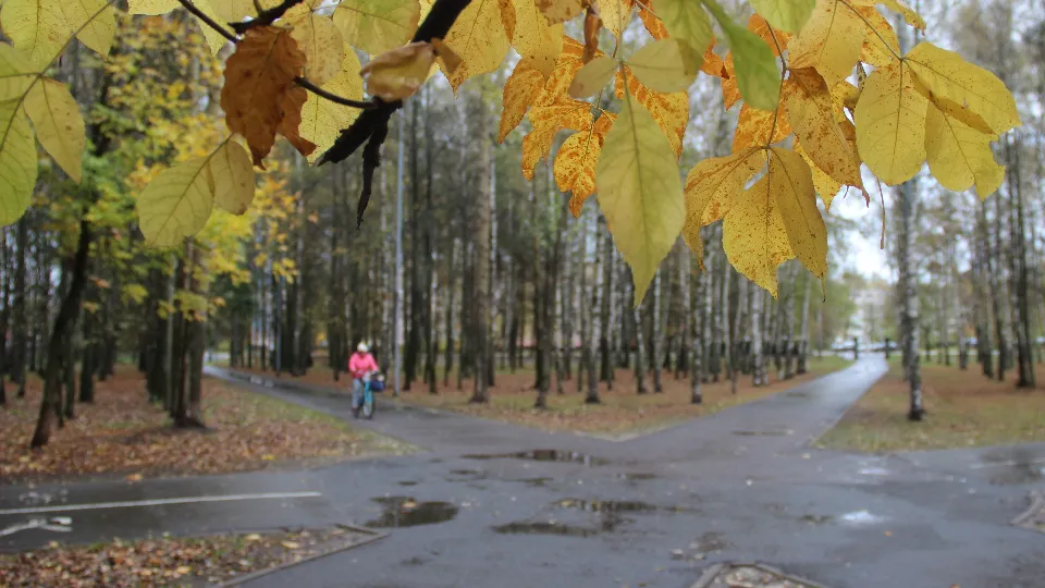 Фото: REGIONS/Василий Тремасов