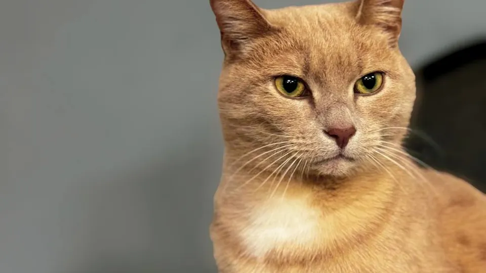 Фото: культорганизатор МБУ «Биокомбинатовская ЦКС»/Екатерина Павлова