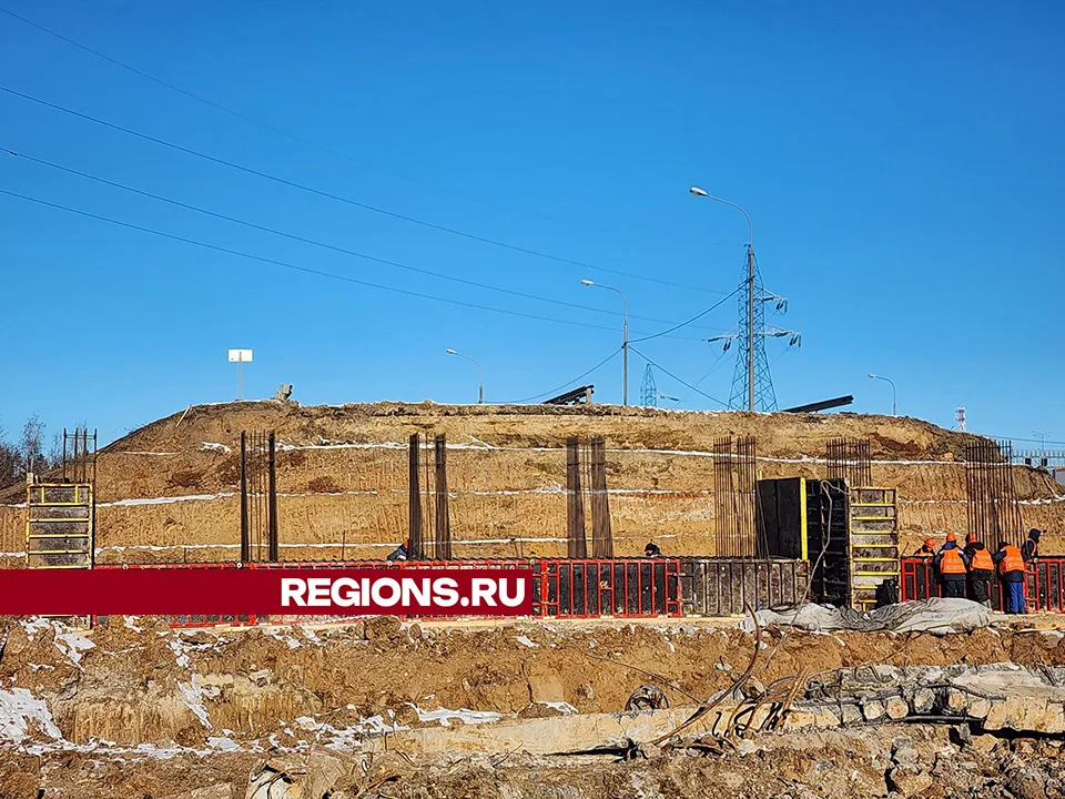 Фото: МедиаБанк Подмосковья/Роман Савельев