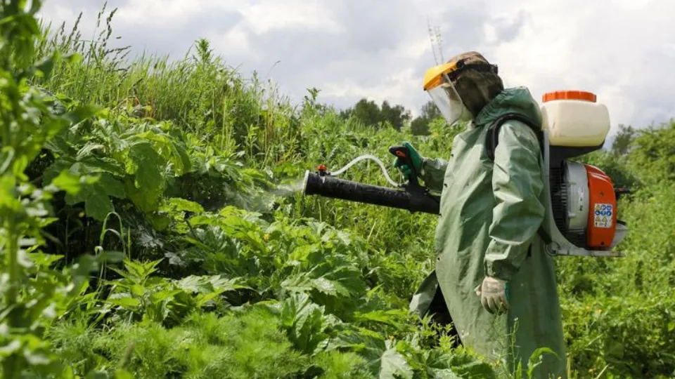Фото: vk.com/Клин Звучит