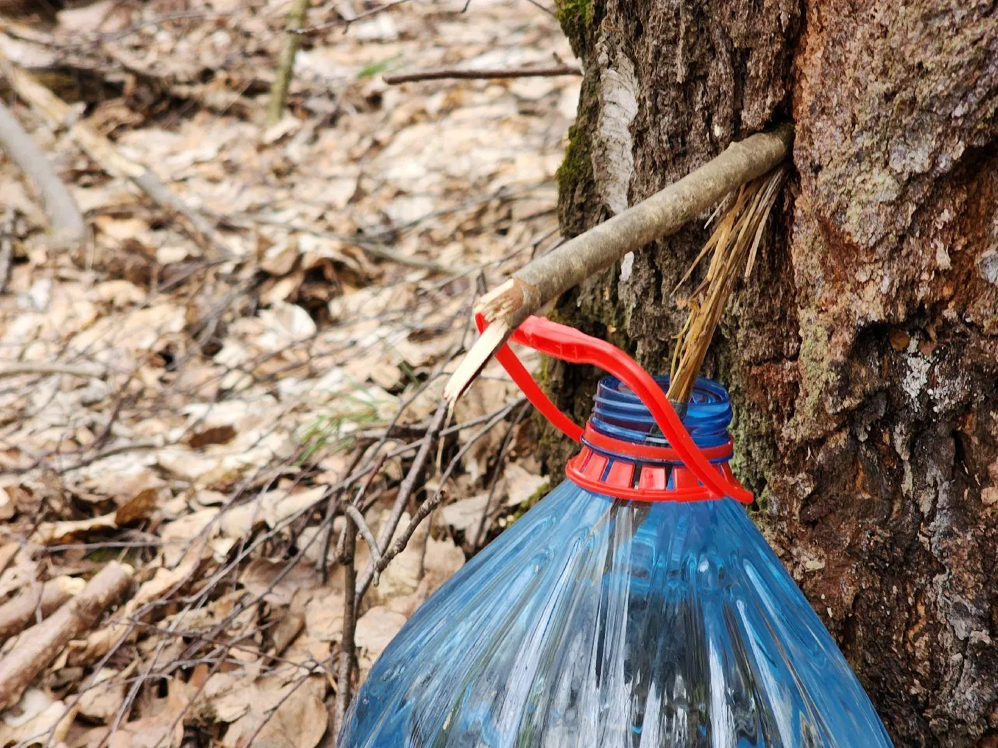 МедиаБанк Подмосковья/Мария Панина