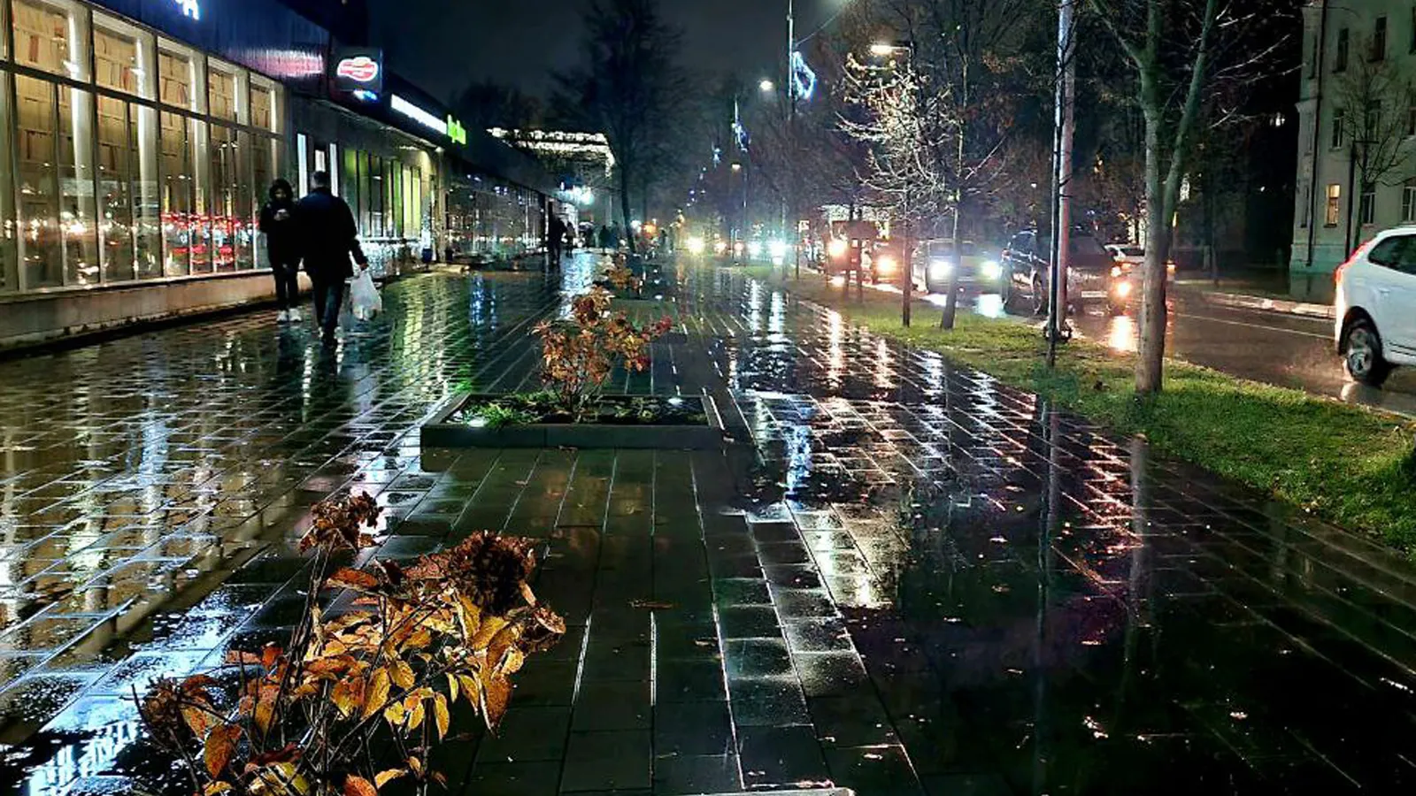 Фото: телеканал «ТВ-Комсет»