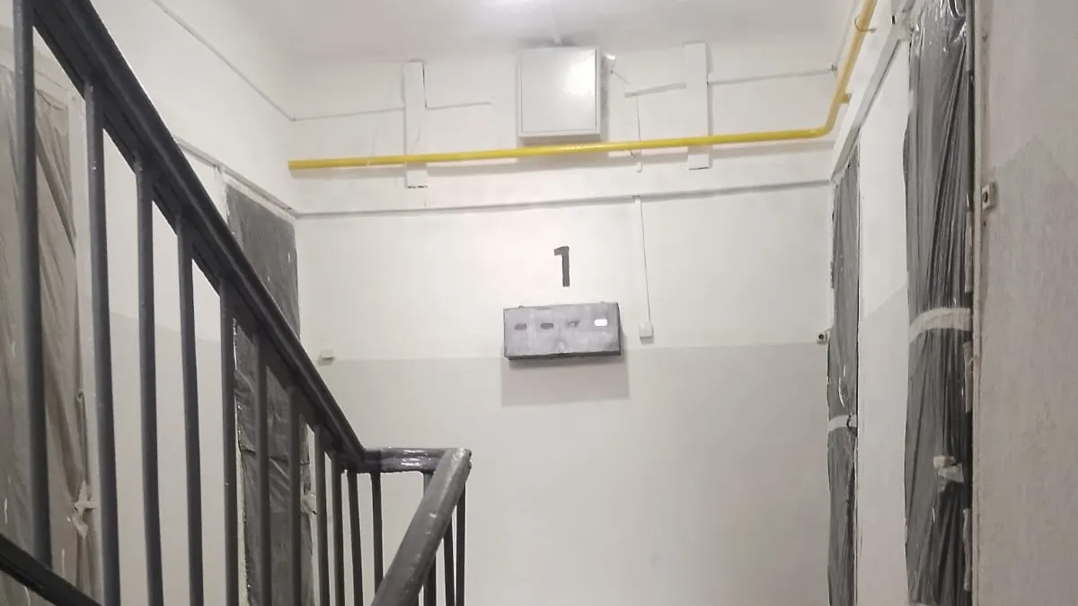 Фото: пресс-служба администрации Наро-Фоминского г.о.