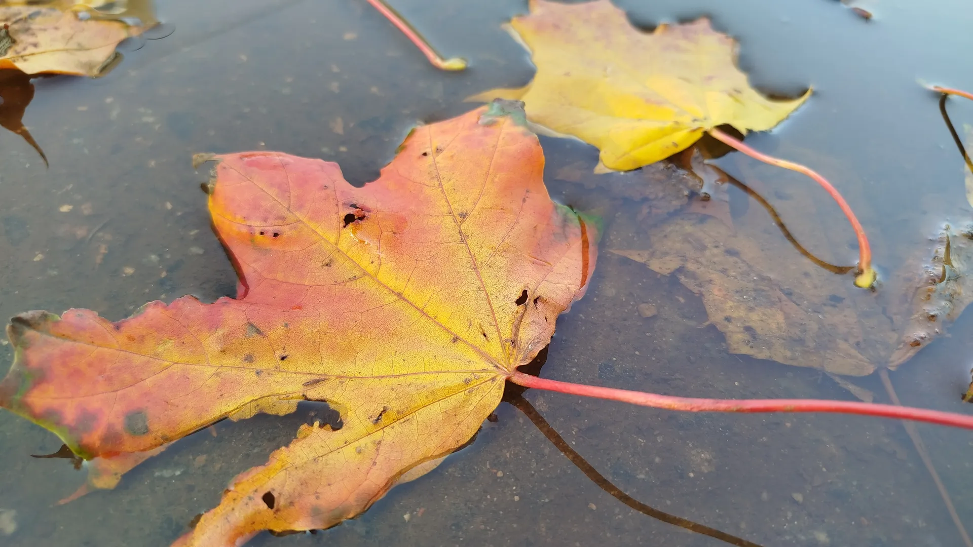 Фото: REGIONS/Наталья Дорофеева