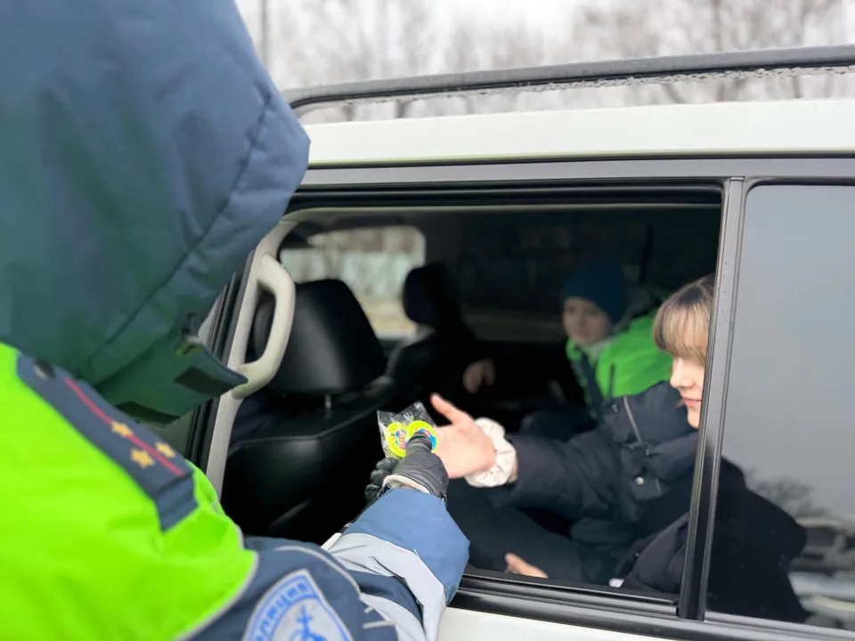 Фото: Госавтоинспекция МУ МВД России «Щелковское»