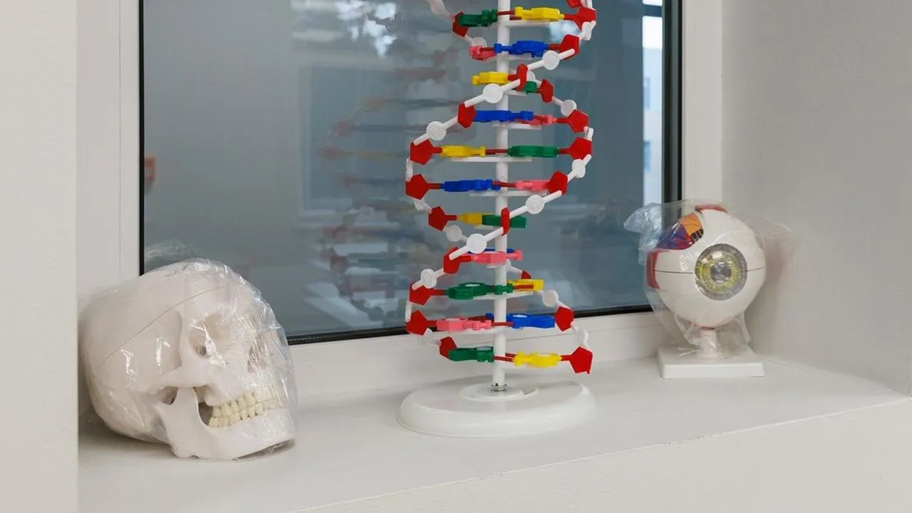 медиасток.рф