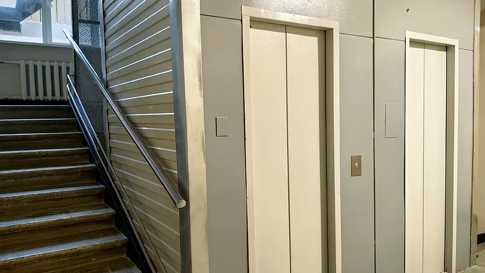 Фото: МедиаБанк Подмосковья/Елена Катасонова