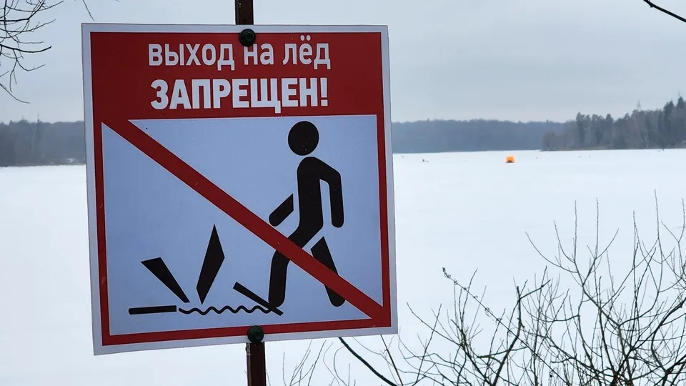 Фото: МедиаБанк Подмосковья/Екатерина Данилина