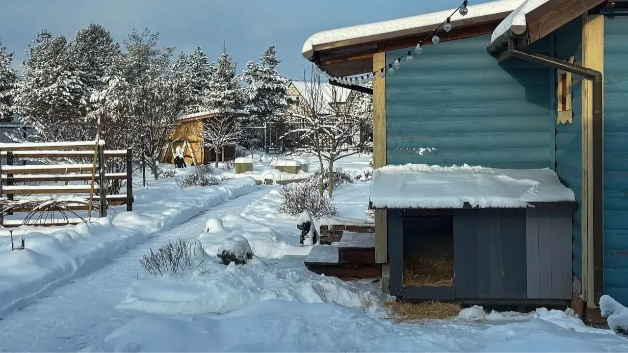 REGIONS/Полина Крачун