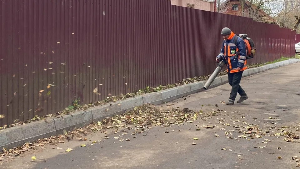 Фото: МедиаБанк Подмосковья/Морозова Еватерина