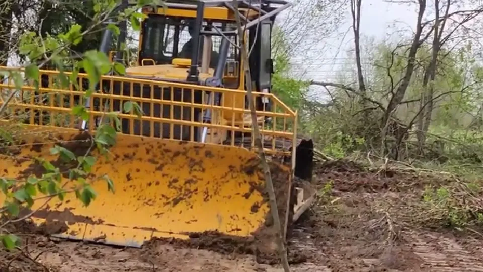 Фото: Евгений Рой