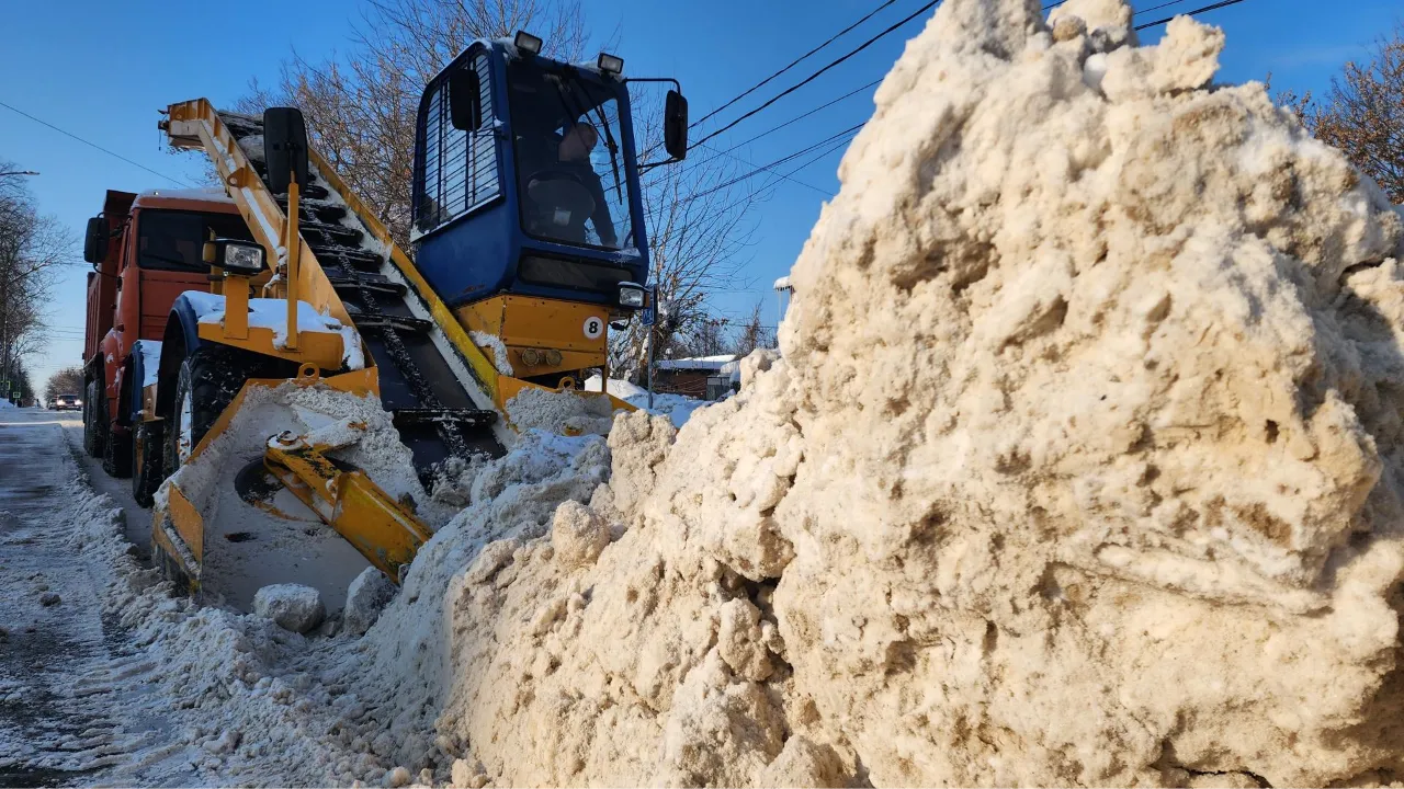МедиаБанк Подмосковья/Анастасия Сараева