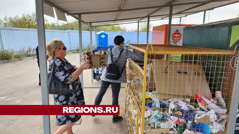 Фото: Дмитрий Алексеенко