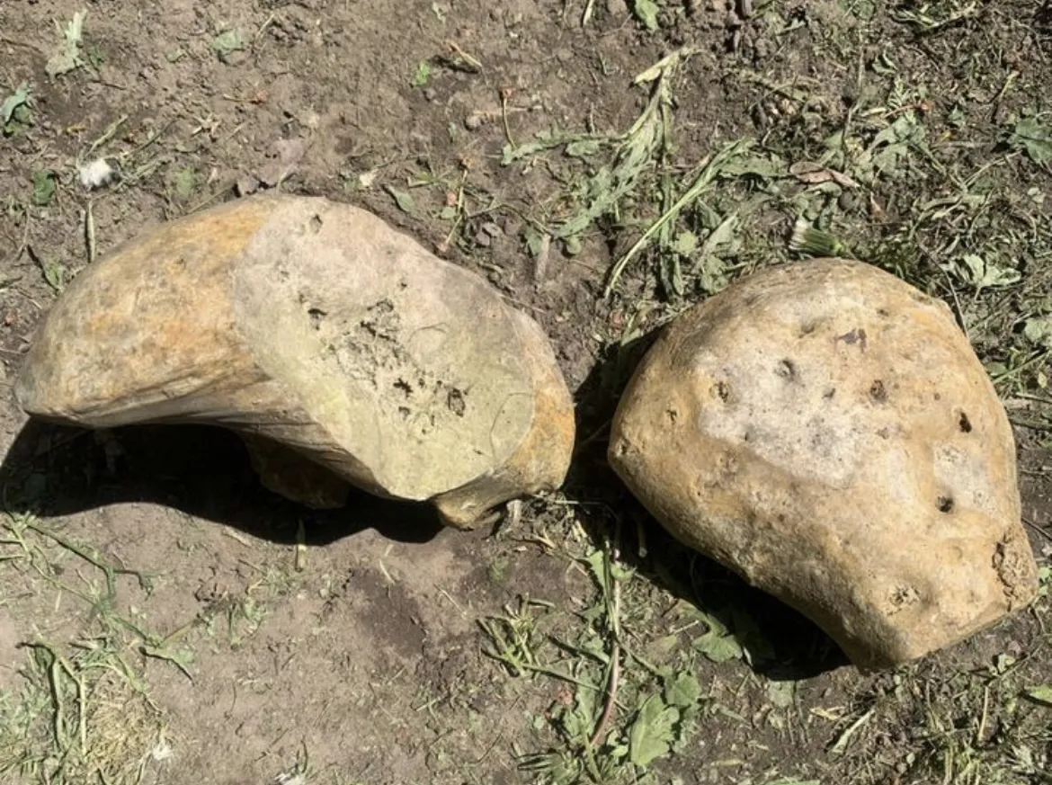 Фото: городская доска объявлений