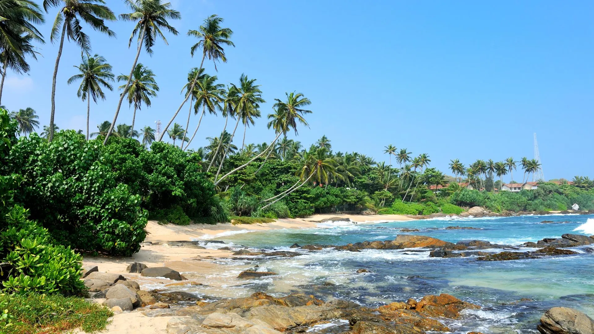 Фото: ru.freepik.com