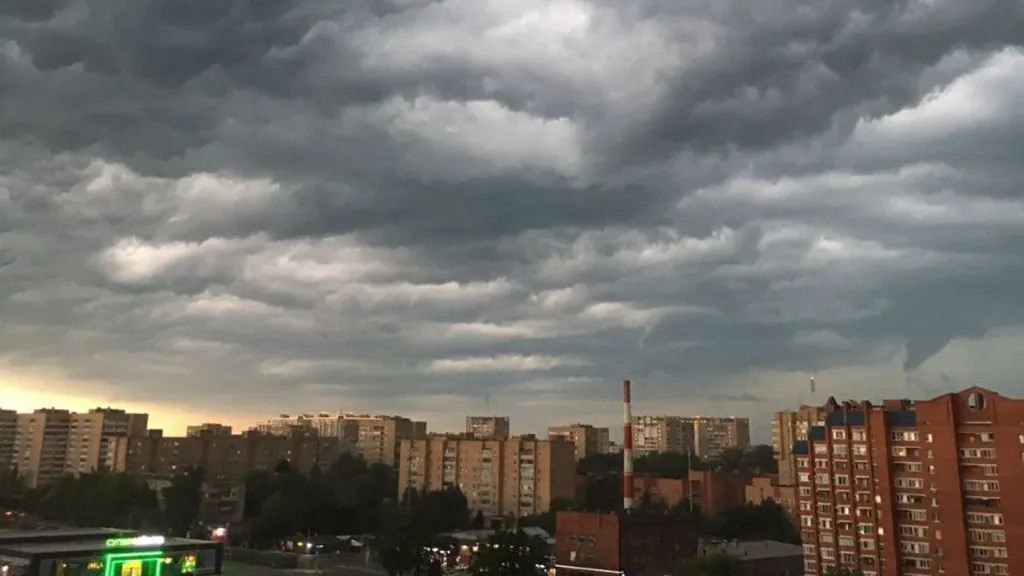 Фото: Андрей Кардаш