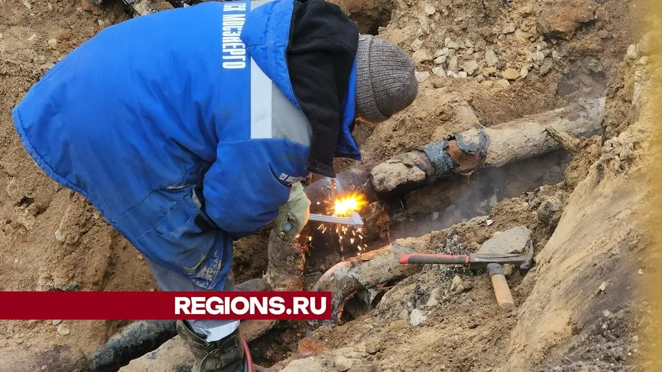 Фото: Иван Чижов