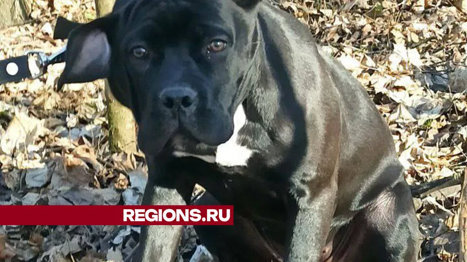 Фото: личный архив Андрея Ружинского