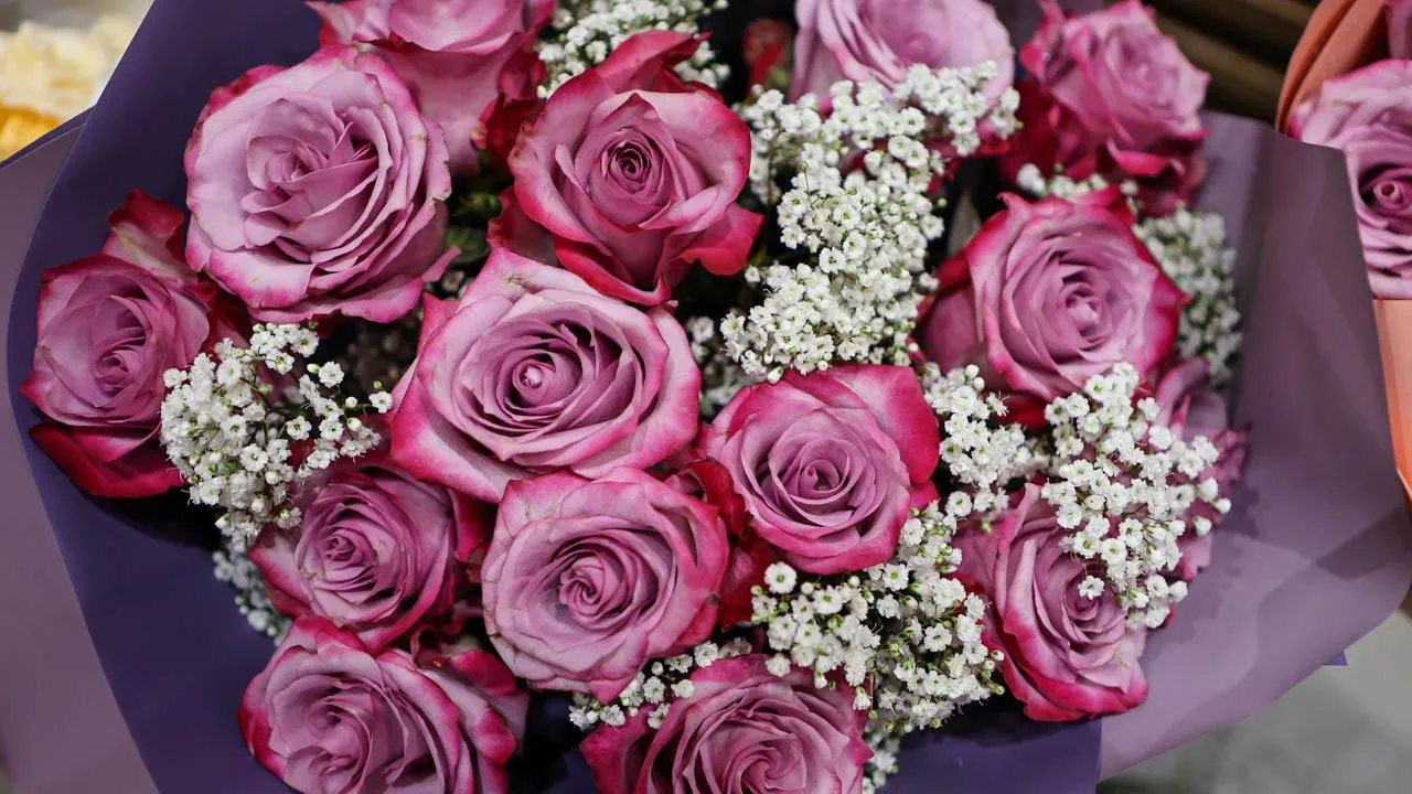 REGIONS/Роман Малышенко