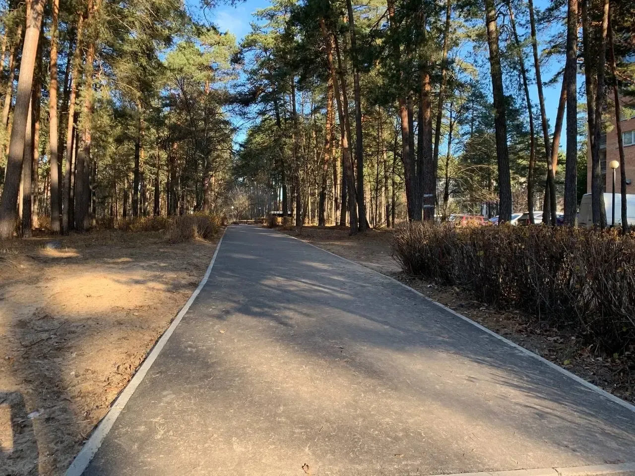 Фото: пресс-служба администрации Протвино