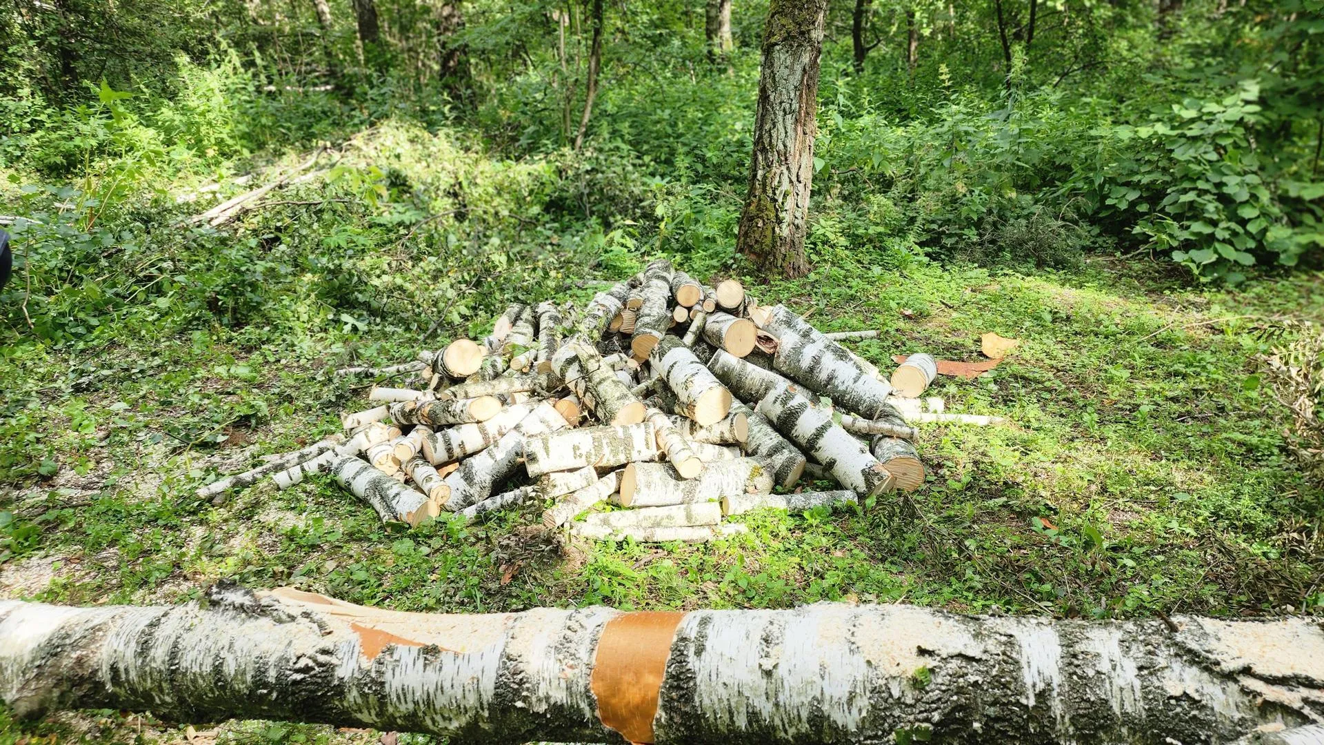 Фото: Наталия Надточая