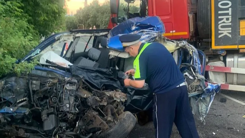 Фото: ГУ МВД России по Московской области