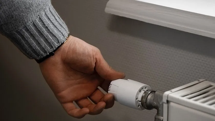 Фото: freepik.com