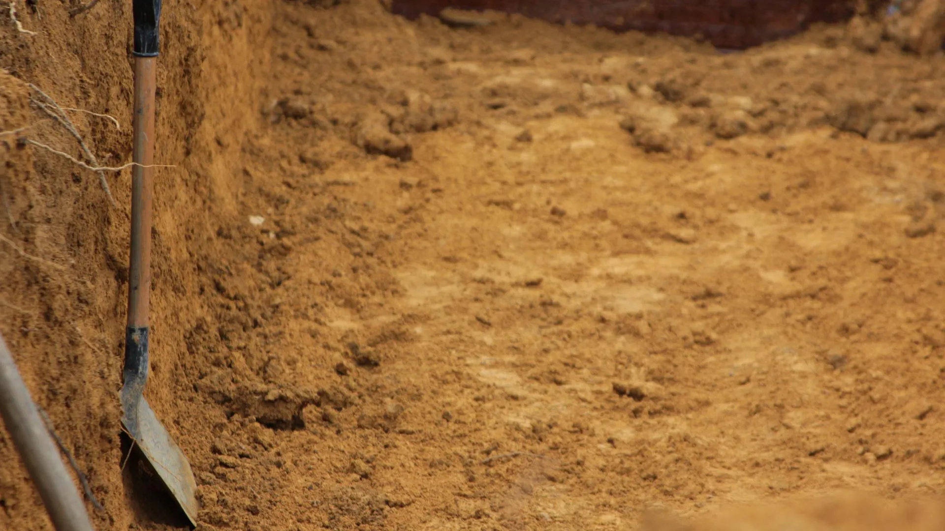 Sandro Pereira/Keystone Press Agency