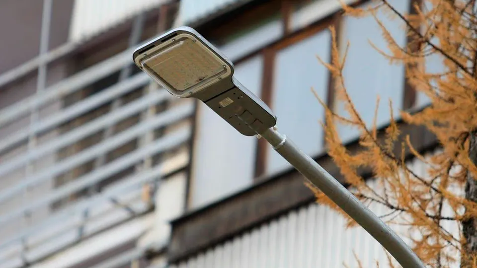 Фото: пресс-служба администрации г.о. Королев