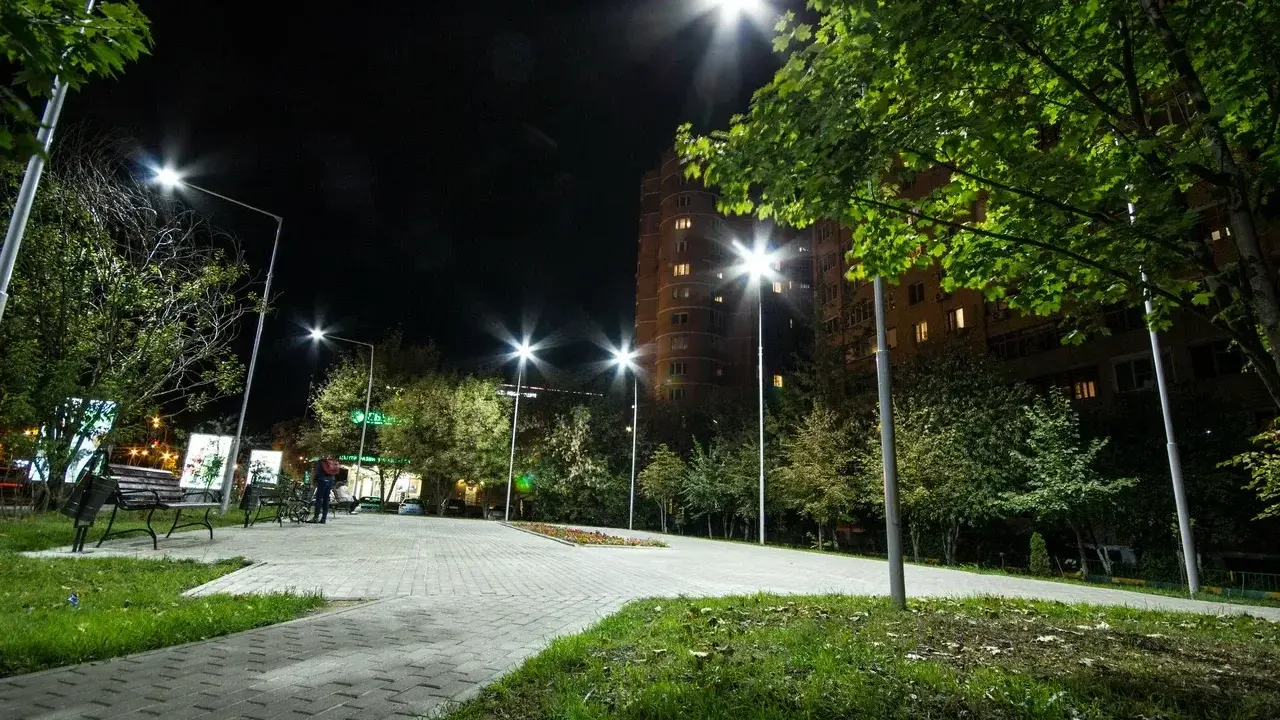 Фото: Министерство благоустройства Московской области