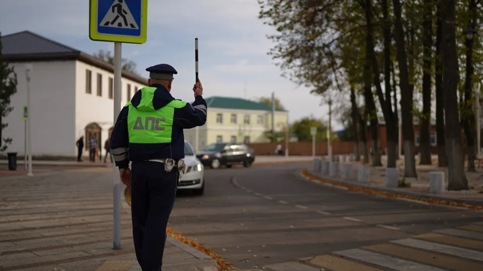 Фото: ОГИБДД ОМВД России по г.о. Зарайск