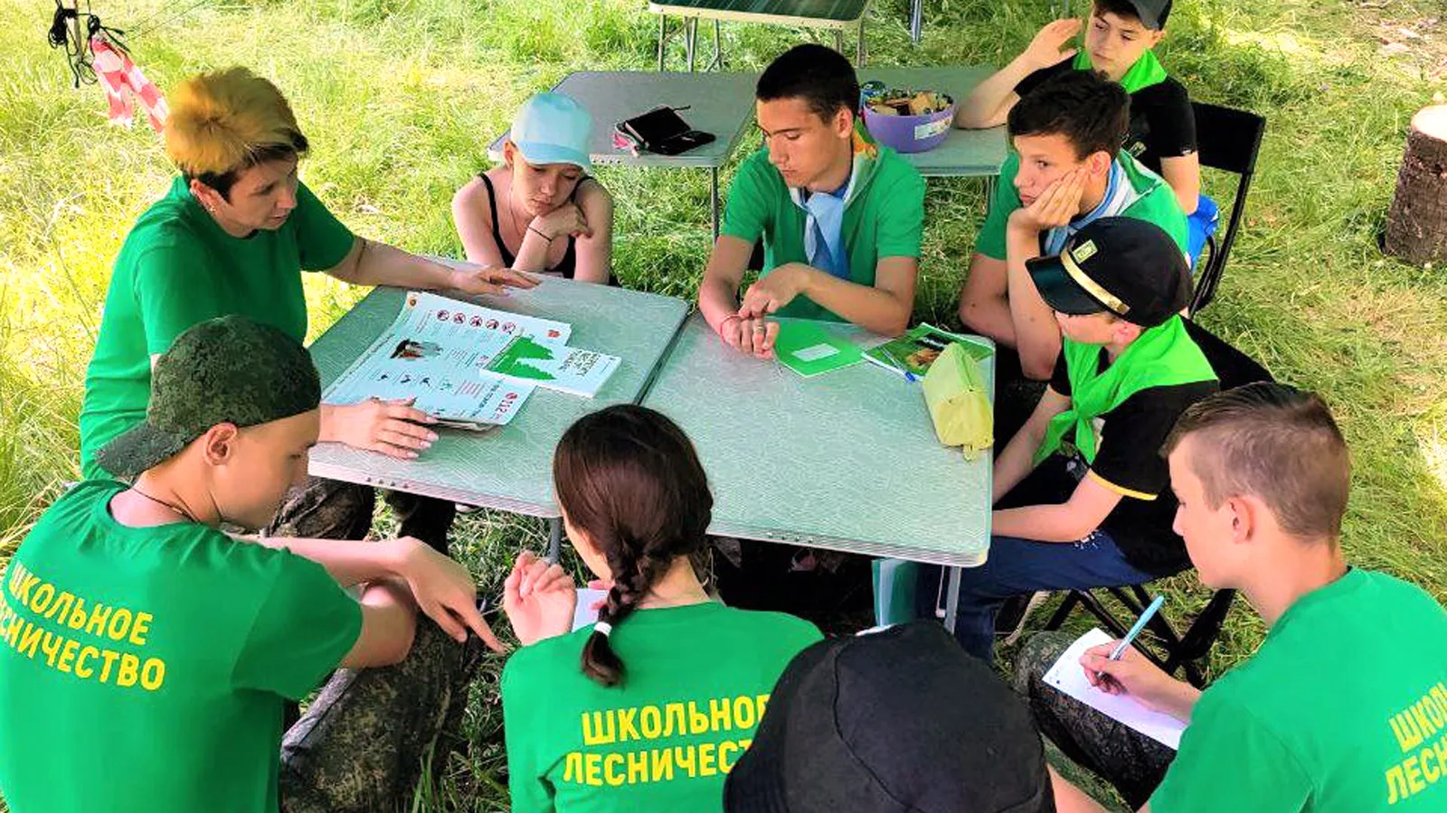 Фото: Пресс-служба Комлесхоза МО