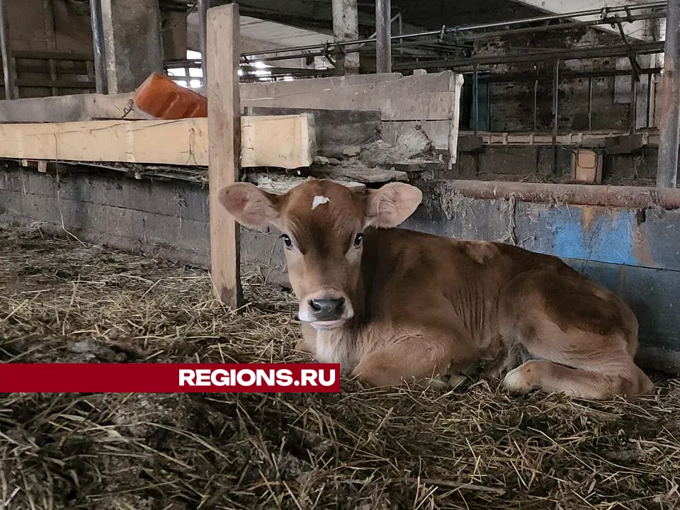 Фото: Екатерина Данилина