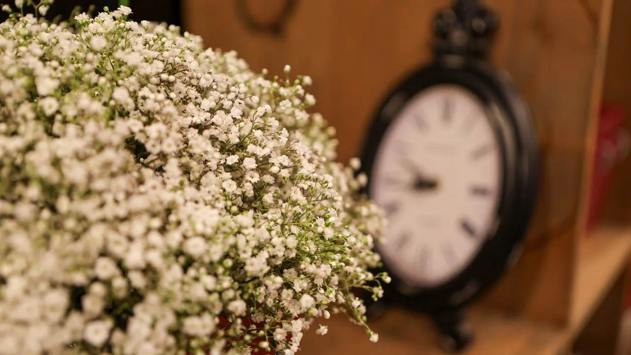 REGIONS/Роман Малышенко