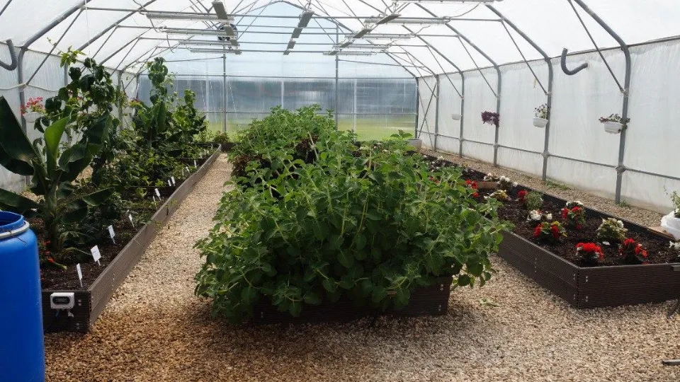 Фото: Министерство по содержанию территорий и государственному жилищному надзору МО