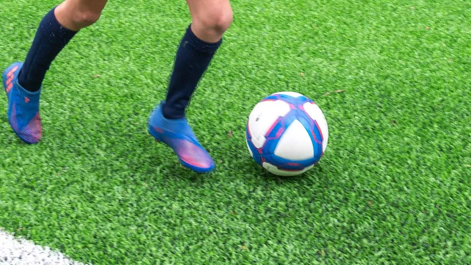 Фото: МедиаБанк Подмосковья/Ксения Казакова