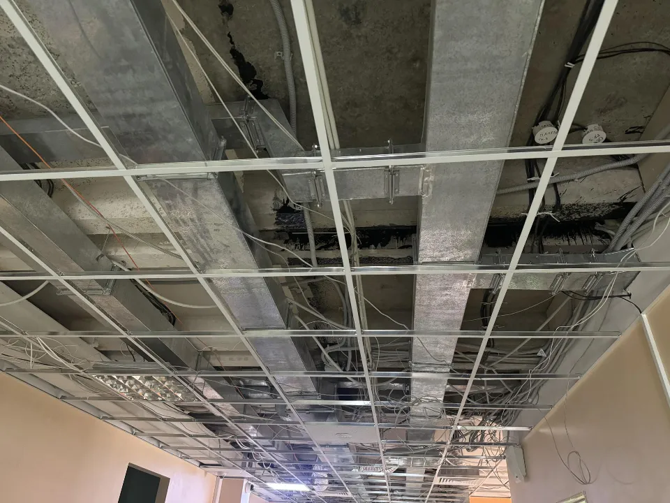 Фото: Полина Абраменко