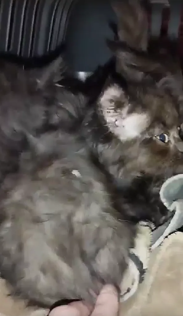 Фото: Подслушано на Глебовке (новая) / ВКонтакте