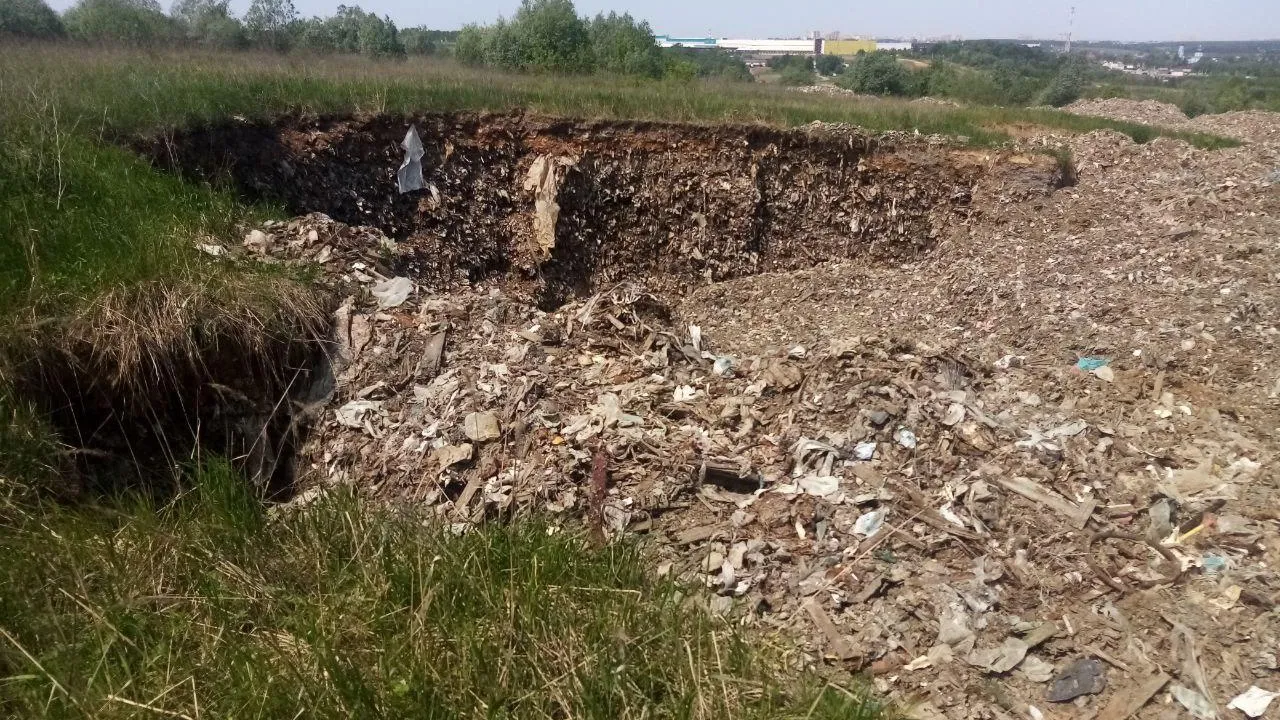 фото Министерство экологии и природопользования Московской области