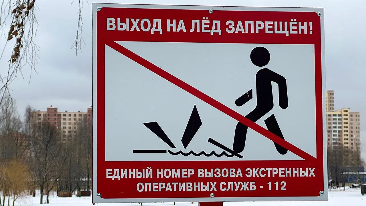 МедиаБанк Подмосковья/Ксения Казакова