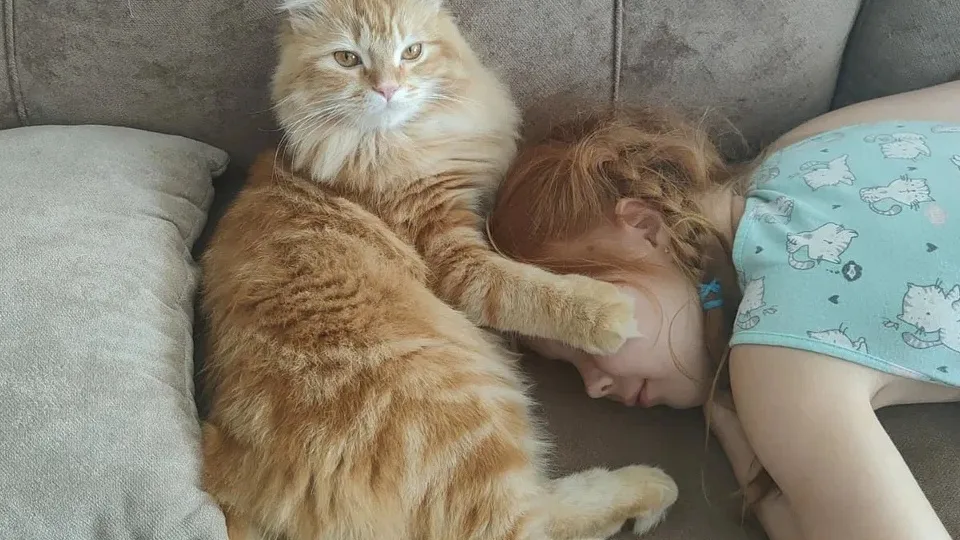 Фото: REGIONS/Наталия Надточая