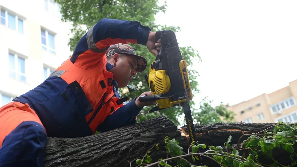 Фото: РИА Новости/Кирилл Каллиников