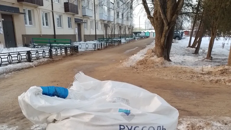 Фото: МедиаБанк Подмосковья/Анастасия Новак