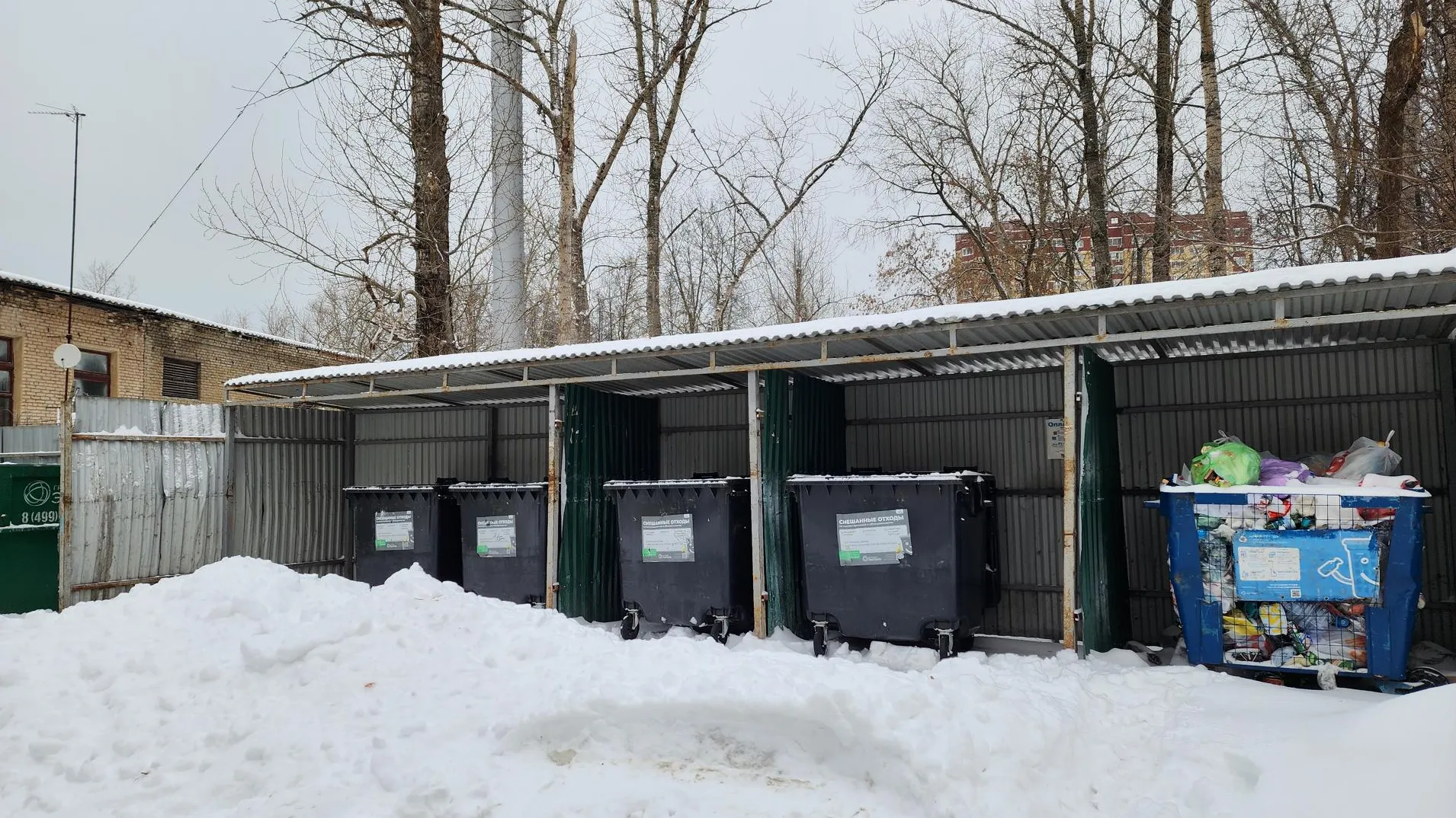 Фото: Светлана Плотникова