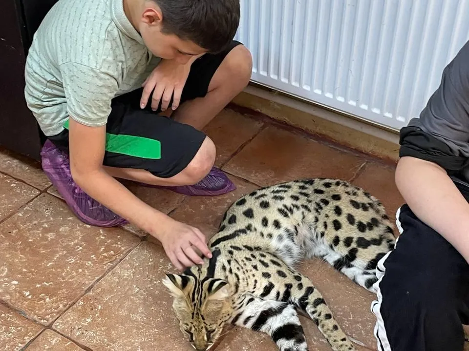 Фото: ГКУ СО МО «Люберецкий»&nbsp;