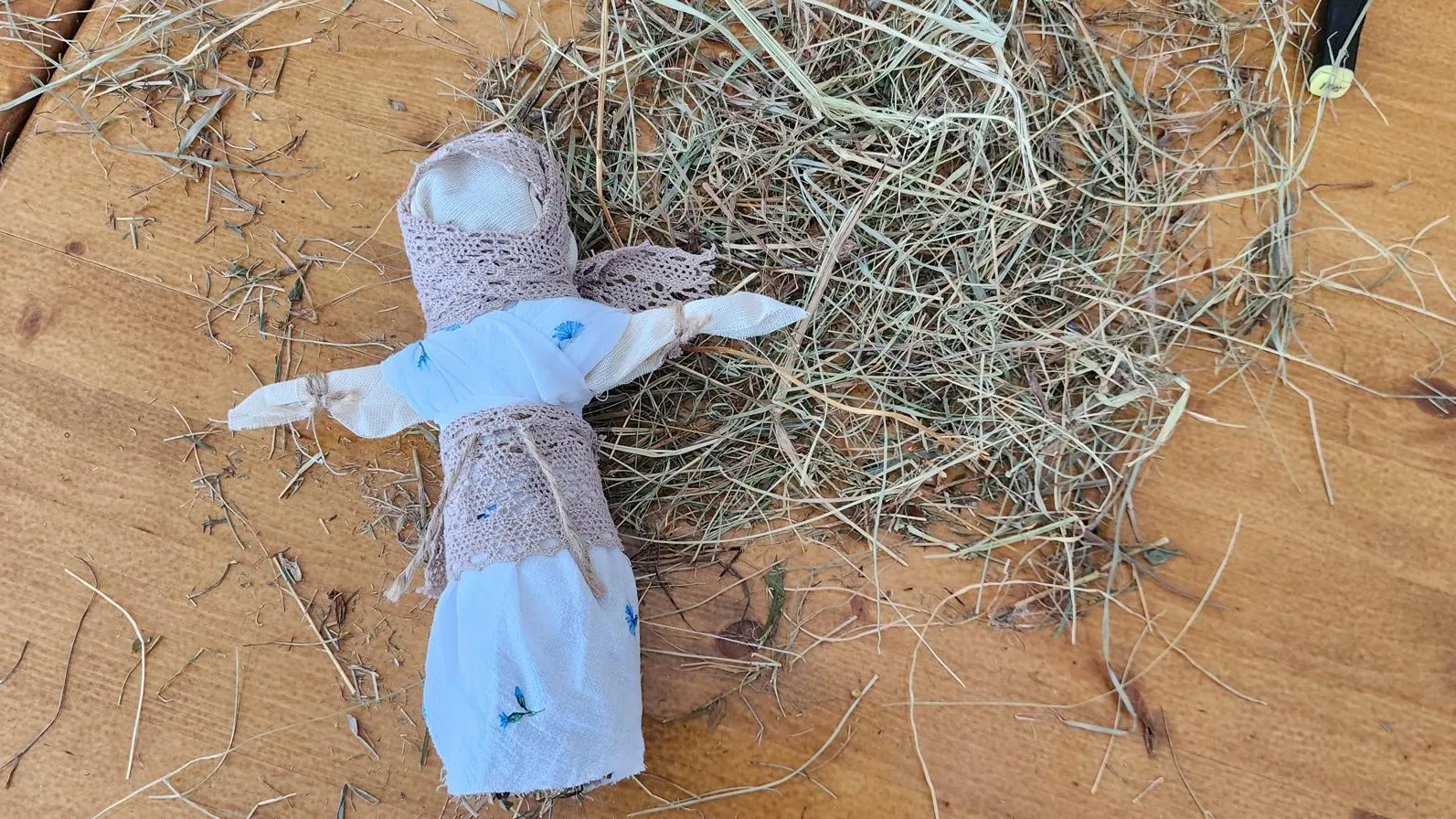 МедиаБанк Подмосковья/Екатерина Морозова