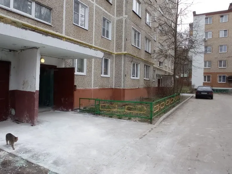 Фото: пресс-служба администрации Наро-Фоминского г.о.