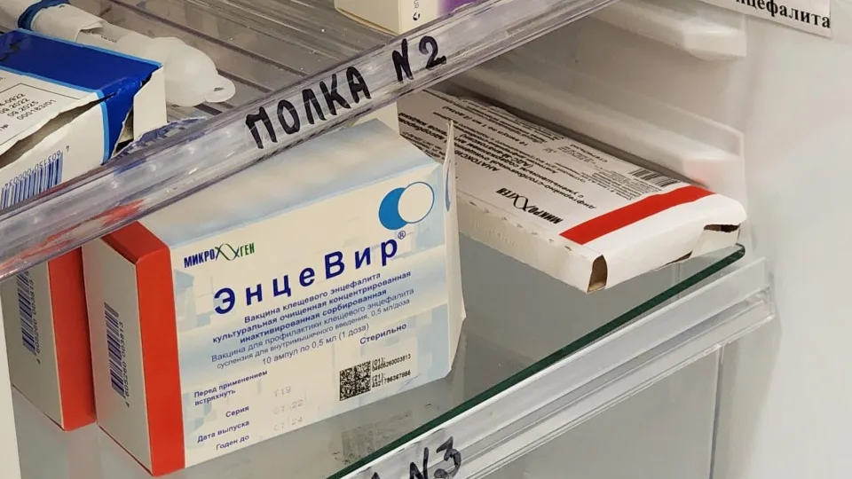 Фото: МедиаБанк Подмосковья/Фельдфебелева Ольга